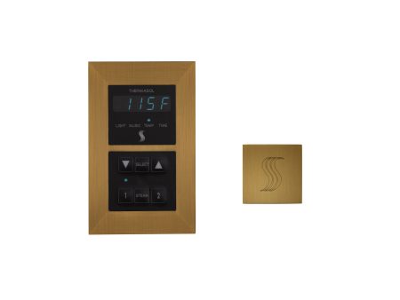 ThermaSol Signature Series Control and Steam Head Kit Square in Antique Brass Finish For Sale