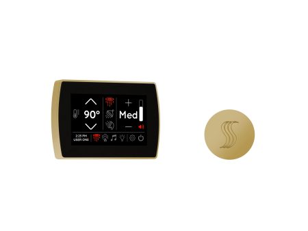 ThermaSol Signatouch Control and Steam Head Kit Round in Polished Brass Finish For Sale