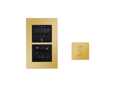 ThermaSol Signature Series Control and Steam Head Kit Square in Polished Gold Finish Online