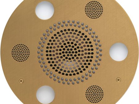 ThermaSol Serenity Light, Sound, Rain System Round in Satin Brass Finish Cheap