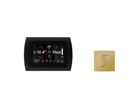 ThermaSol Signatouch Control and Steam Head Kit Square in Polished Brass Finish Supply