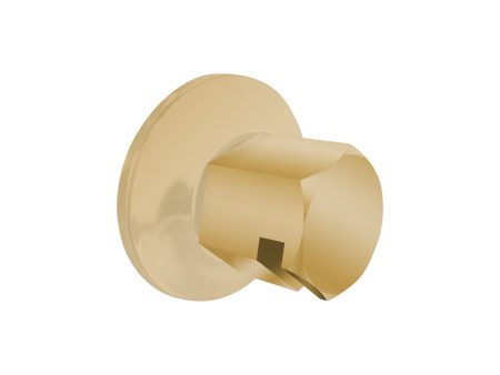 ThermaSol Traditional 3 4  Style Steam Head in Polished Brass Finish For Discount